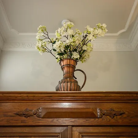 Native Sereno Fenn'a 5