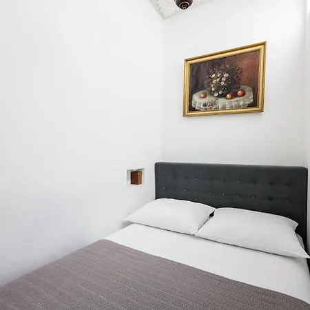 Native Sereno Fenn'a 5 Krakow