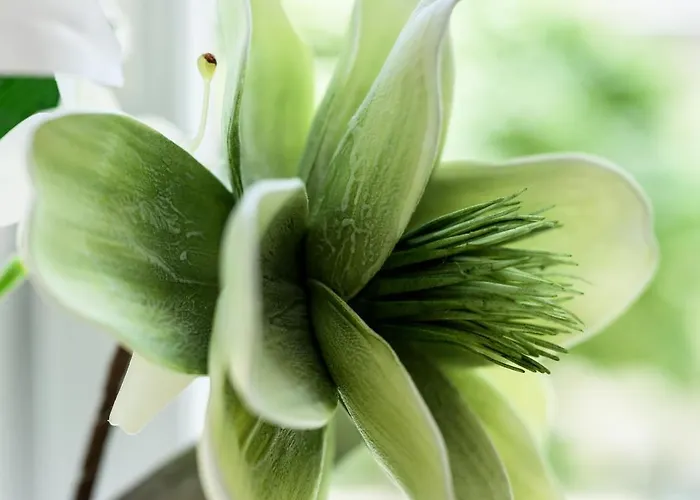 Native Sereno Fenn'a 5 Apartment Krakow